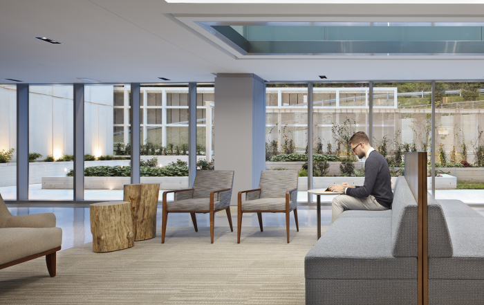 Designing Natural Vistas into Cancer Centers